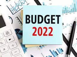 budget 2022. software industry views
